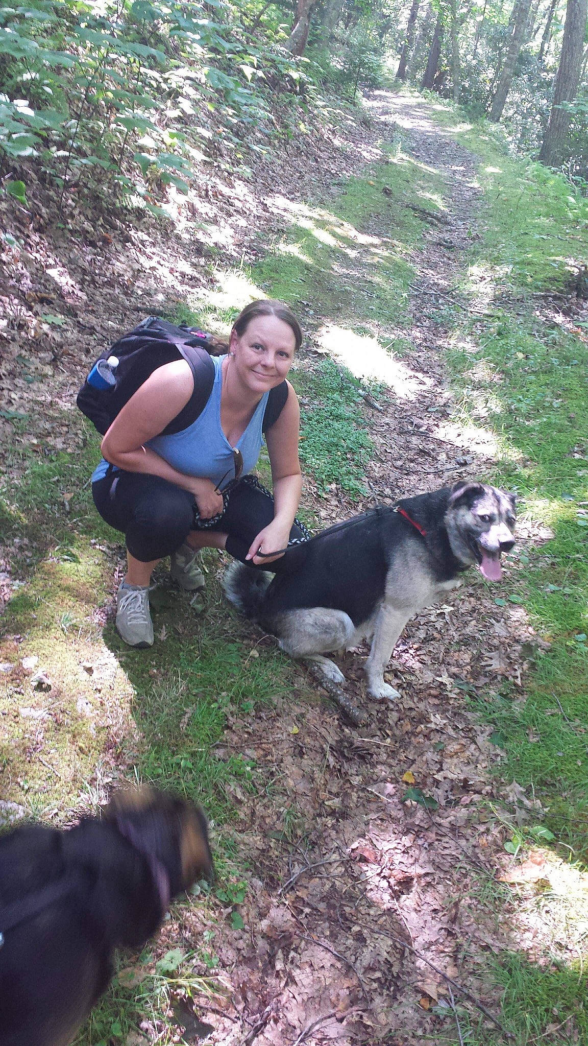 Hans is registered to the contest to win money with this photo: adventure, canidae, carnivore, companion_dog, dog, dog_breed, dog_hiking, grass, leisure, luggage_and_bags, outdoor_recreation, plant, recreation, rock, smile, soil, sporting_group, trail, walking, working_animal