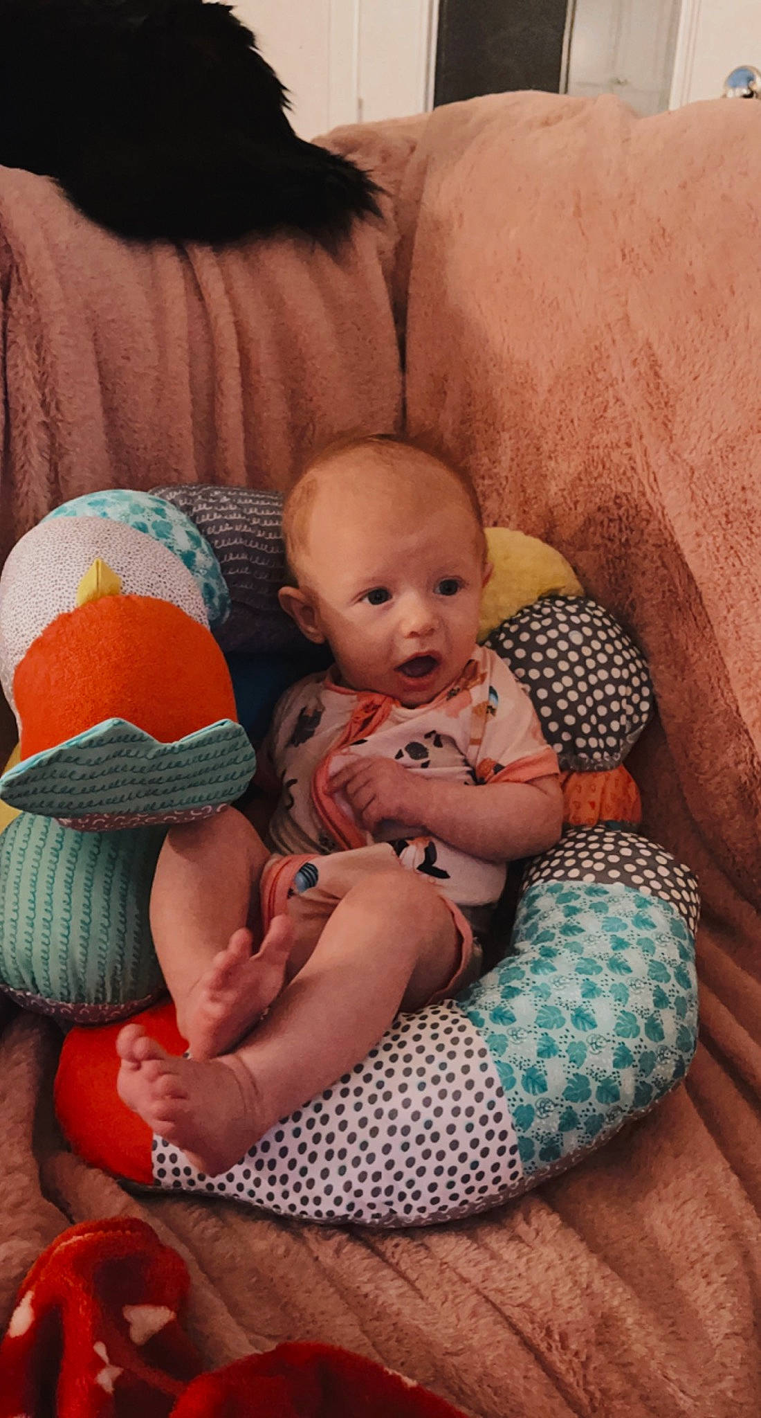 Violet joined the competition — help win amazing prizes! abdomen, arm, baby, baby_products, baby_toddler_clothing, cheek, child, comfort, head, human_leg, iris, lap, linens, person, sitting, skin, sock, surprise, textile, thigh