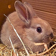 Sammy is registered to the contest to win money with this photo: