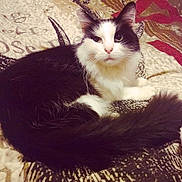 Rory is registered to the contest to win money with this photo: