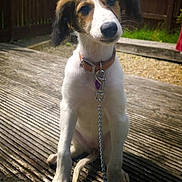 Penny is registered to the contest to win money with this photo: