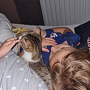 Chanelle a rejoint le concours — aidez-le/la à gagner de superbes lots ! animal, baby, bed, bedroom, blanket, cat, couch, cushion, face, furniture, head, homedecor, indoors, kitten, person, pet, photography, portrait, room, sleeping