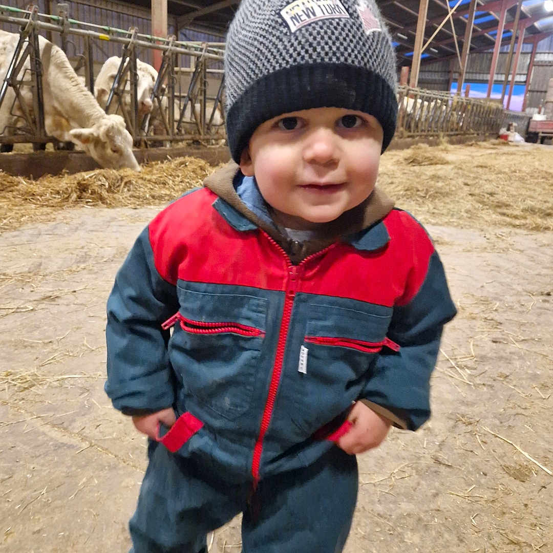 Timothe a rejoint le concours — aidez-le/la à gagner de superbes lots ! animal, barn, child, cold_weather, cows, cute, farm, footwear, hay, headwear, indoors, jumpsuit, livestock, person, rural, smiling, standing, straw, toddler, winter_hat