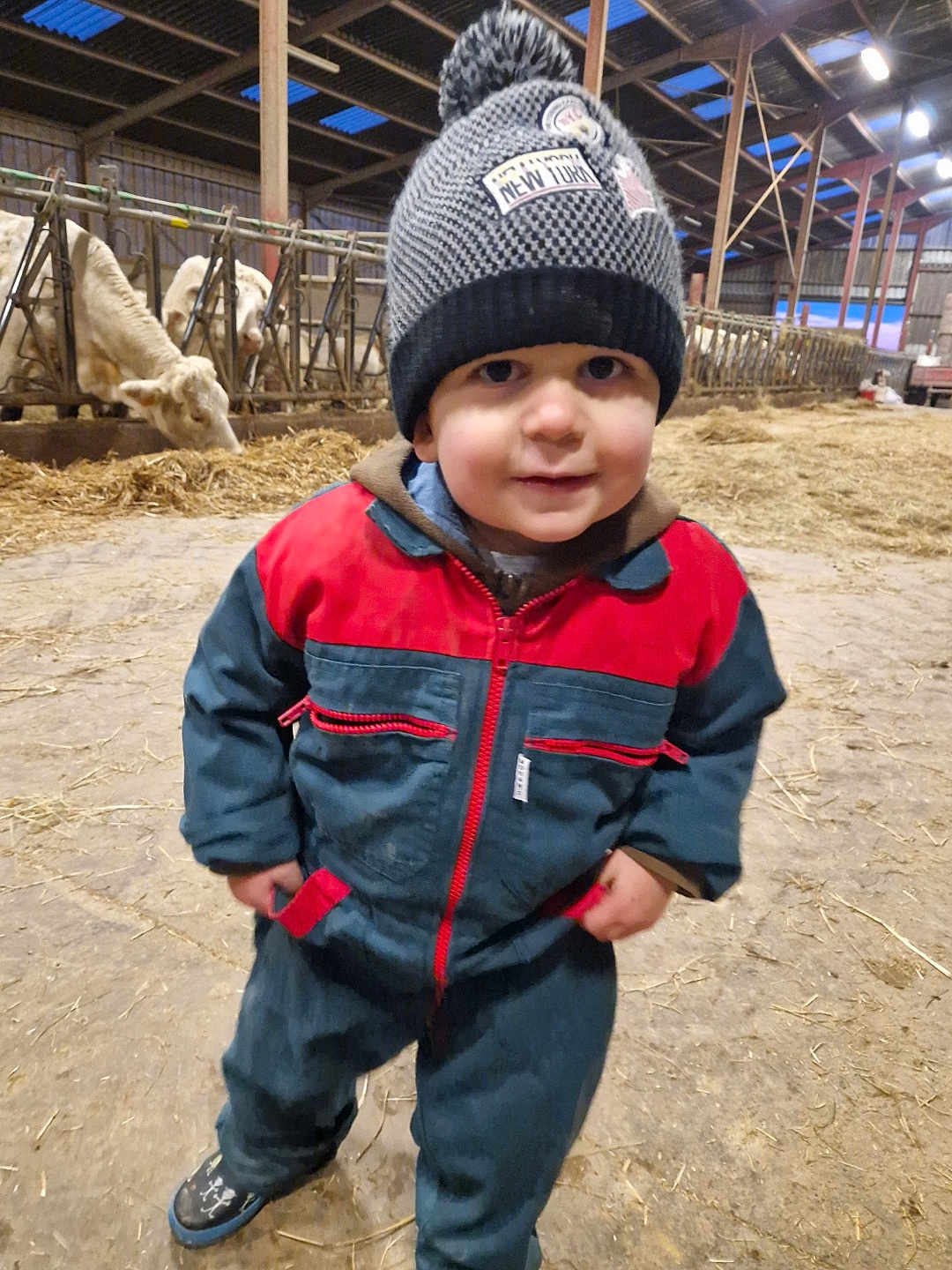 Timothe a rejoint le concours — aidez-le/la à gagner de superbes lots ! toddler, child, barn, cows, hay, winter_hat, jumpsuit, footwear, indoors, animal, livestock, farm, straw, person, cute, smiling, cold_weather, headwear, standing, rural