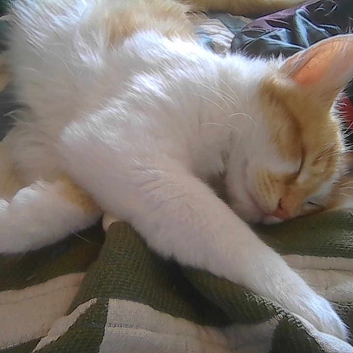 Winnie