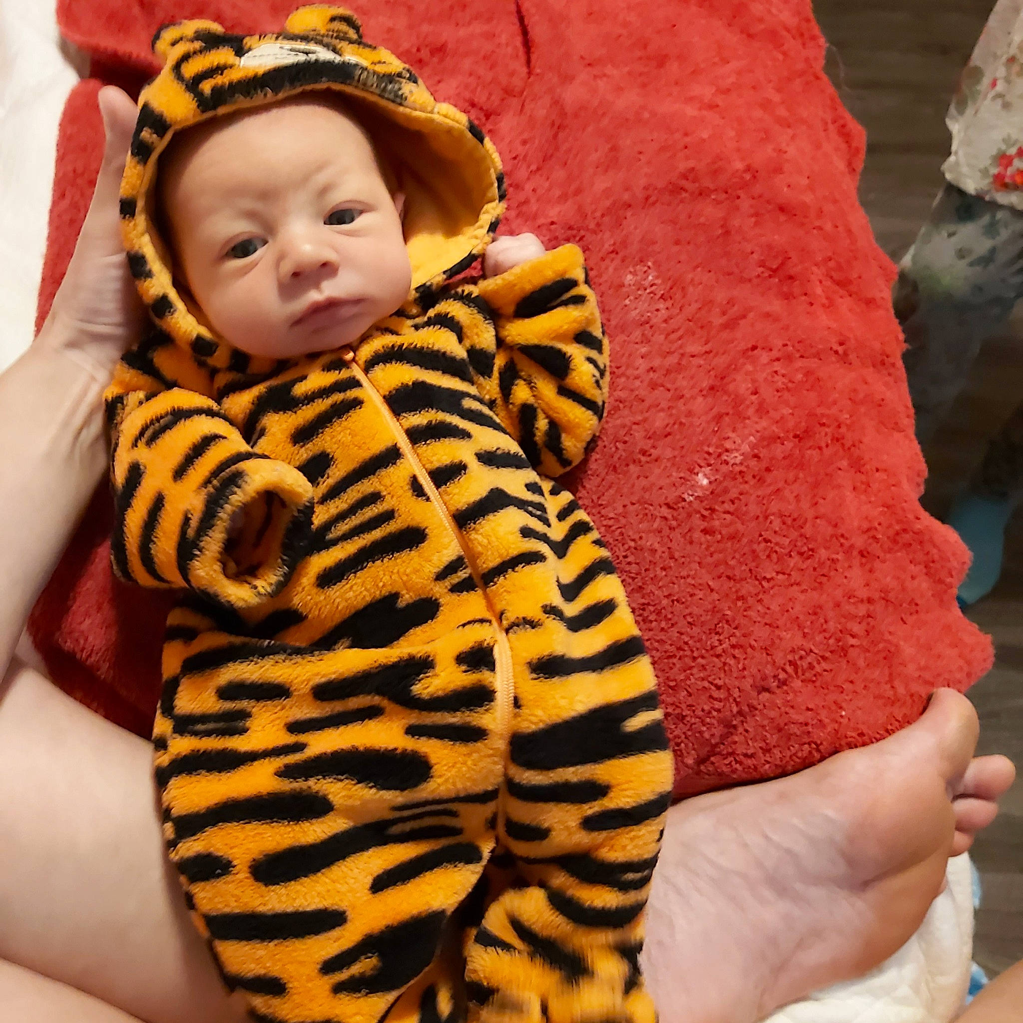 Seth Poole joined the competition — help win amazing prizes! baby, baby_toddler_clothing, child, comfort, eye, fashion_accessory, felidae, finger, fur, hand, happy, headgear, human_leg, linens, pattern, person, skin, sleeve, textile, thigh