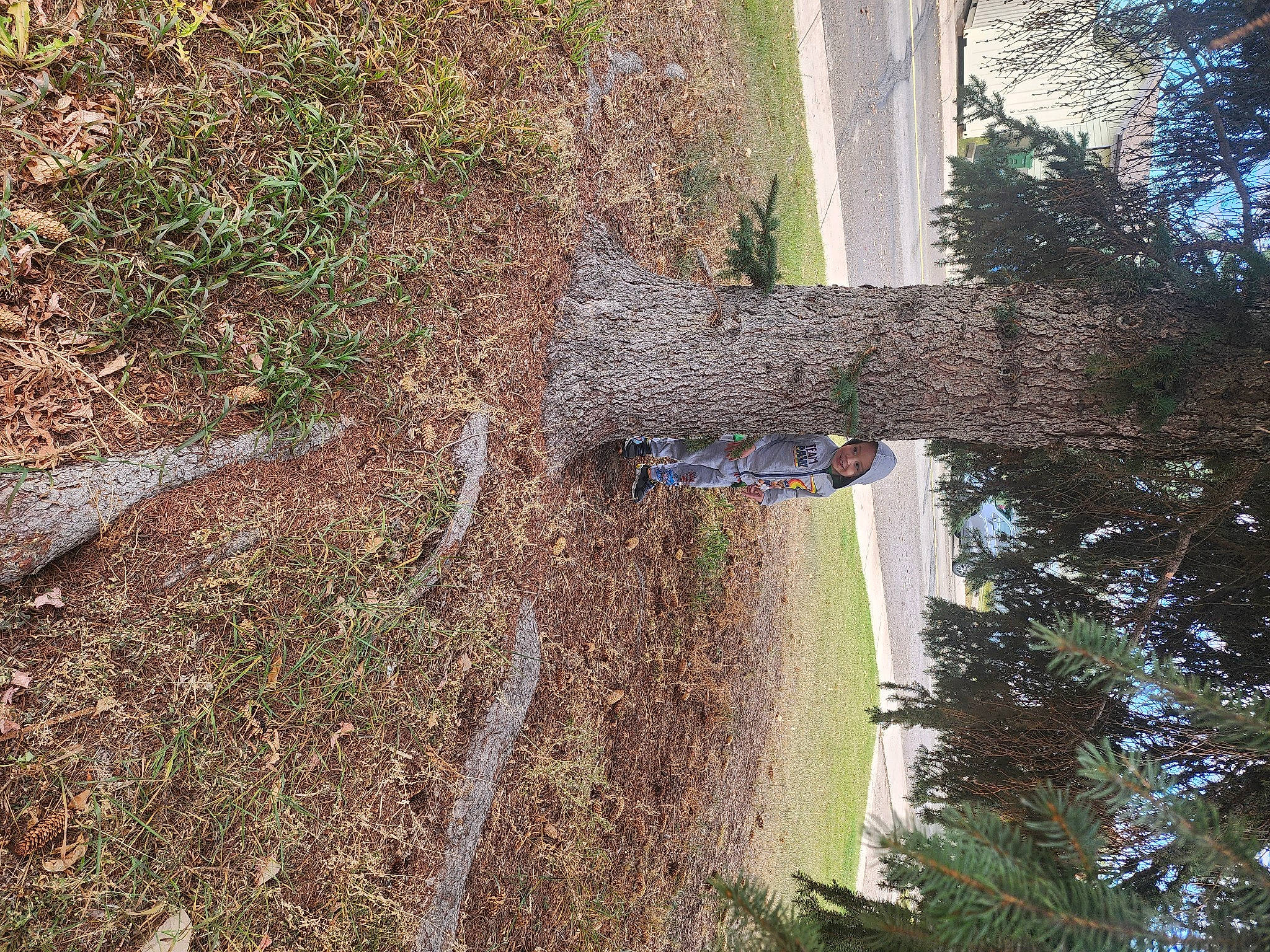 Seth Poole is registered to the contest to win money with this photo: branch, building, grass, groundcover, headwear, house, joy, landscape, person, plant, shadow, shrub, sky, soil, terrestrial_plant, tints_and_shades, tire, tree, trunk, twig