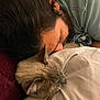 animal, bed, blanket, casual, cat, closeup, comfort, cozy, face, fur, hair, human, indoor, person, pet, pillow, relaxation, resting, sleeping, whiskers