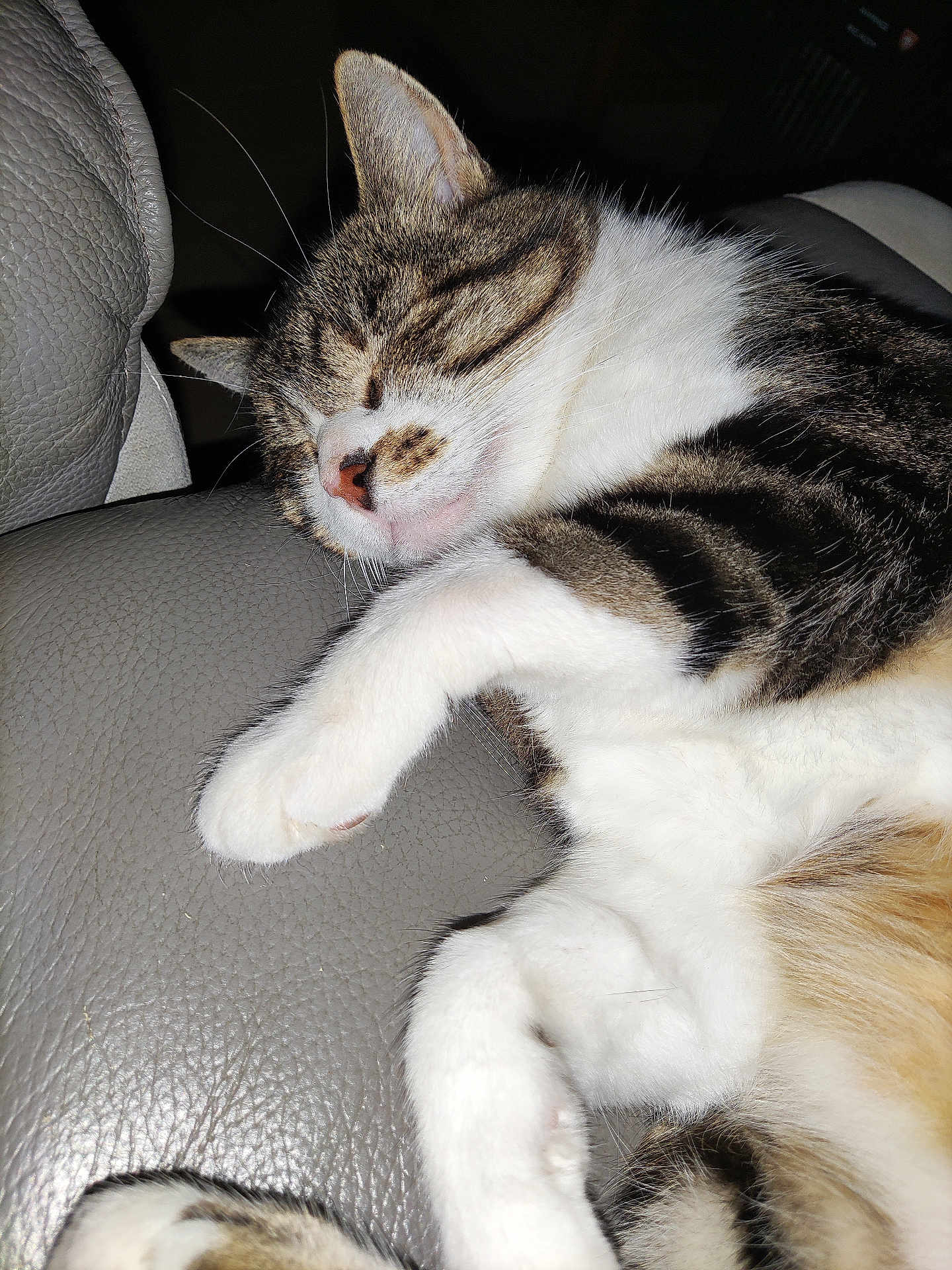 Oliver