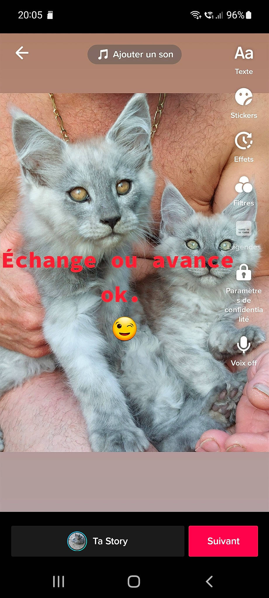 Tomy Et Télès participe au concours pour gagner de l'argent avec cette photo : carnivore, cat, comfort, domestic_short_haired_cat, felidae, font, fur, gesture, grey, organism, pattern, paw, photo_caption, sitting, small_to_medium_sized_cats, snout, whiskers