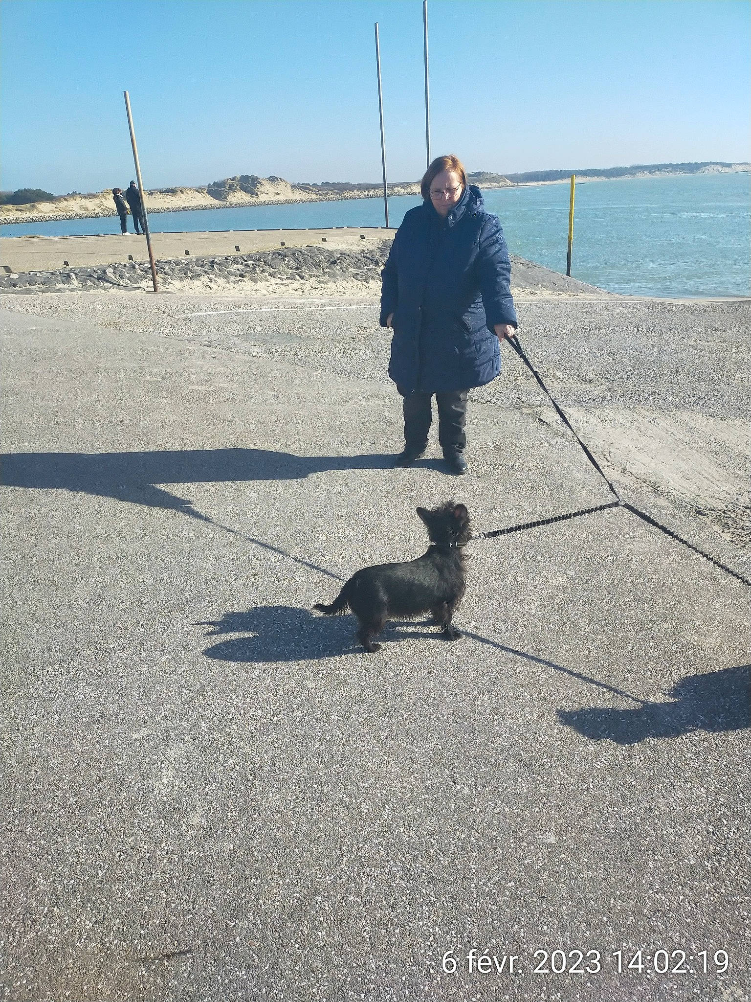 Tchoupy participe au concours pour gagner de l'argent avec cette photo : asphalt, beach, carnivore, coast, dog, dog_breed, fun, horizon, lake, leash, mammal, ocean, recreation, road_surface, sand, shadow, shore, sky, tail, water