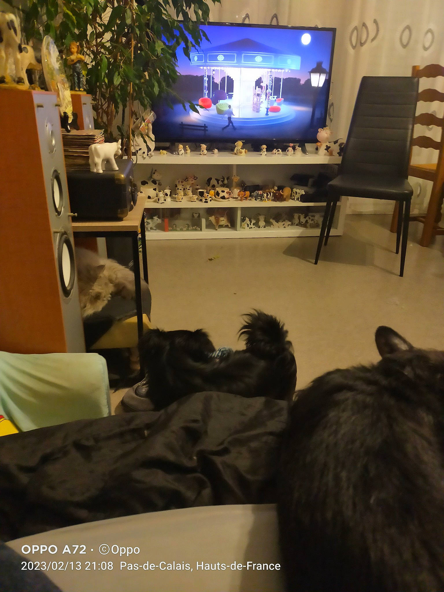 Tchoupy participe au concours pour gagner de l'argent avec cette photo : audio_equipment, building, chair, desktop_computer, display_device, electronic_device, entertainment, event, flat_panel_display, flooring, furniture, house, houseplant, interior_design, living_room, plant, room, table, television, television_set