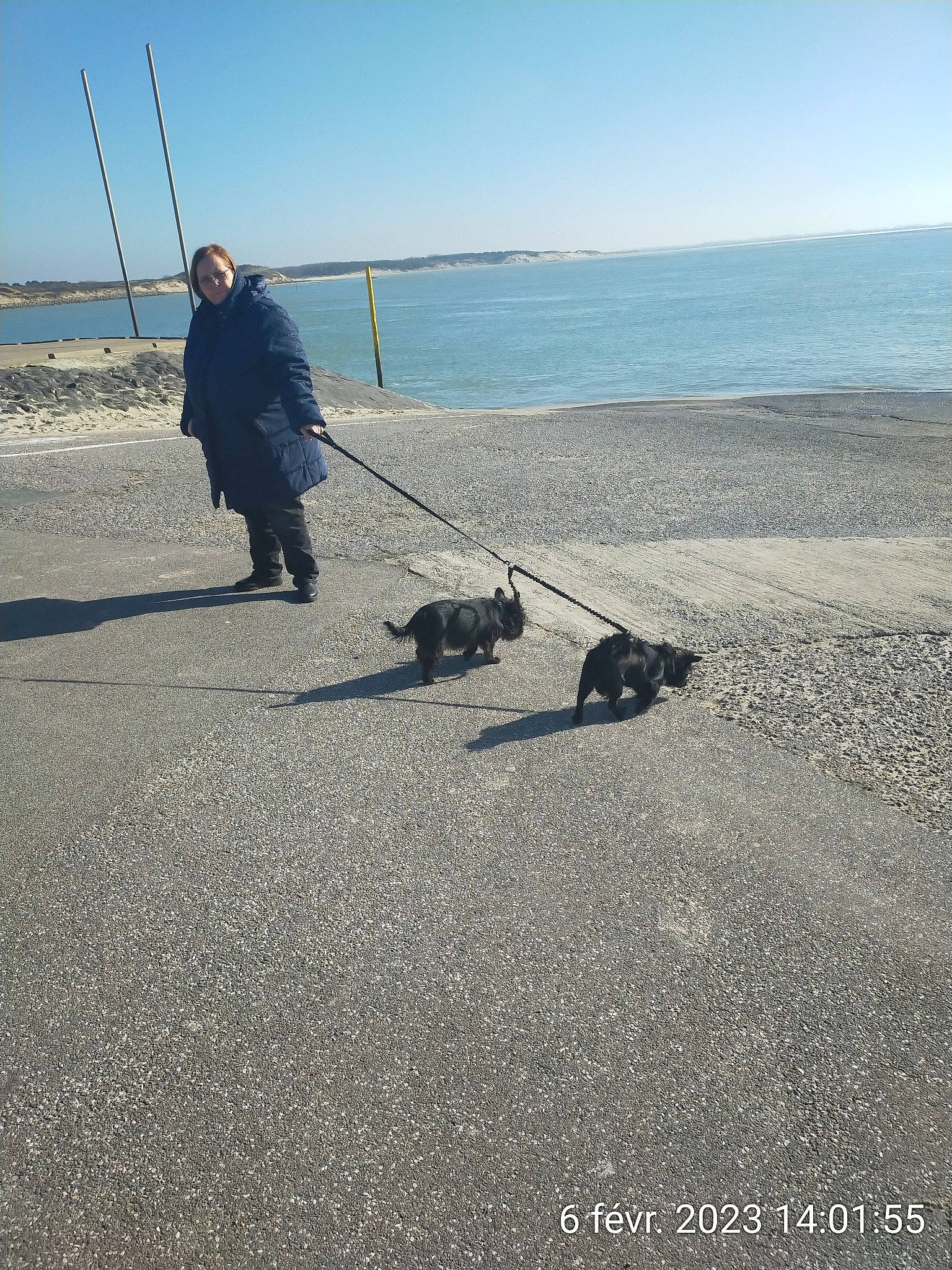 Iris participe au concours pour gagner de l'argent avec cette photo : asphalt, beach, carnivore, coast, dog, fun, horizon, lake, landscape, leash, leisure, ocean, recreation, road_surface, sand, shore, sky, sporting_group, travel, water