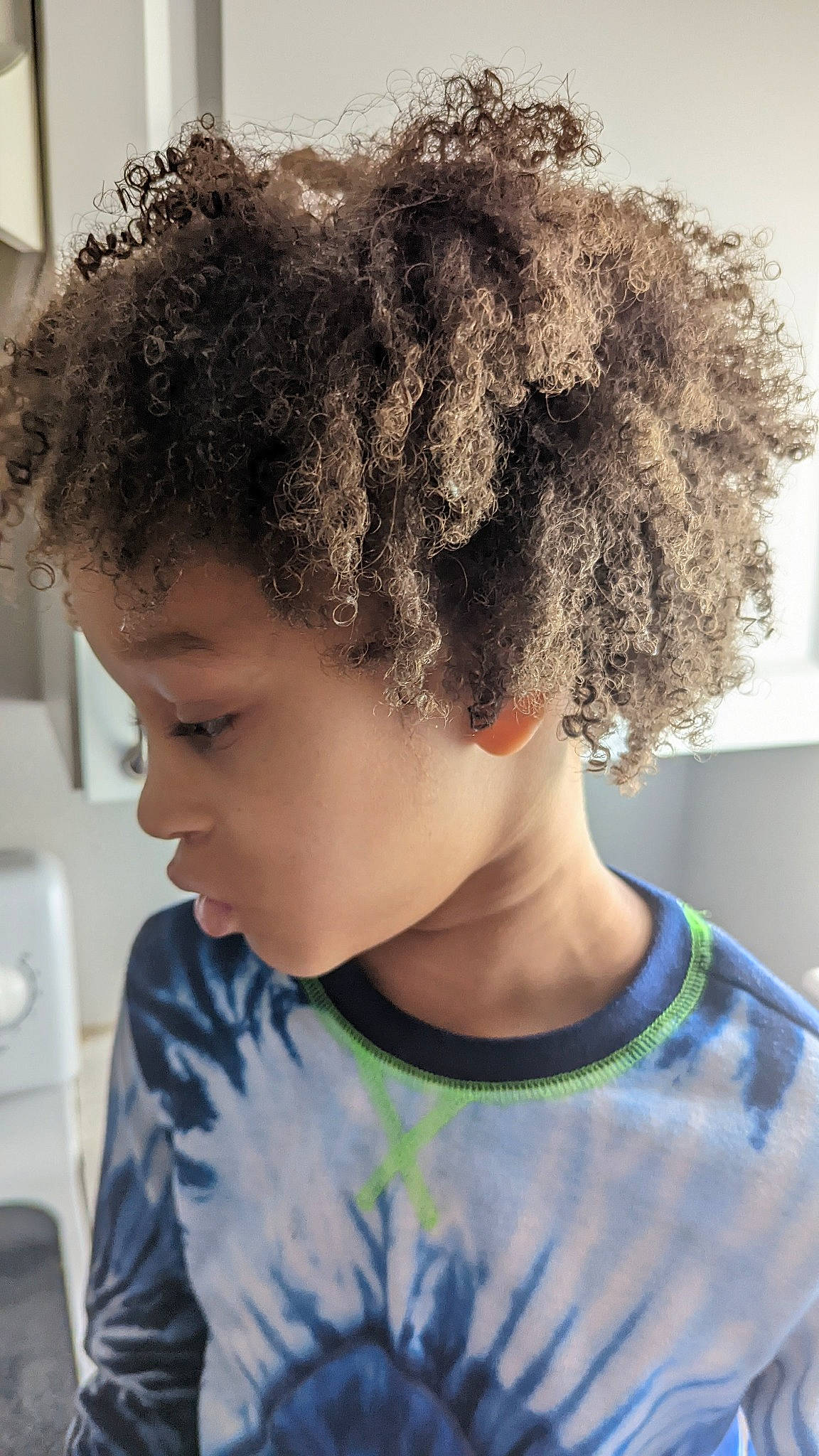 Emerald joined the competition — help win amazing prizes! afro, beauty, black_hair, chin, cool, electric_blue, eyebrow, eyelash, face, fashion, fashion_accessory, forehead, fun, grass, hair, happy, human, jheri_curl, neck, person