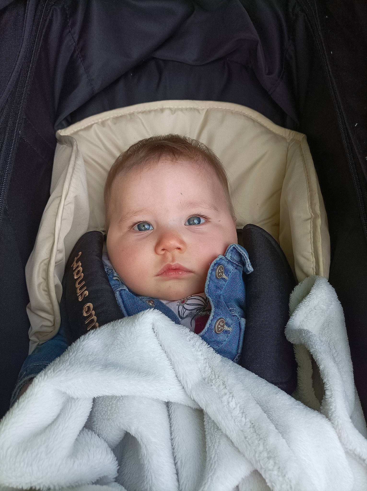 Eva participe au concours pour gagner de l'argent avec cette photo : baby, baby_carriage, baby_products, baby_safety, baby_toddler_clothing, car_seat, cheek, child, collar, comfort, electric_blue, eyebrow, infant_bed, iris, linens, person, sitting, skin, sleeve, toddler