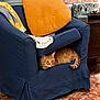 cat, orange_tabby, armchair, cushion, blanket, indoor, brick_wall, wooden_furniture, floor_tiles, curious, cozy, pet, furniture, resting, home_interior, domestic_cat, animal, relaxing, looking_out, blue_chair