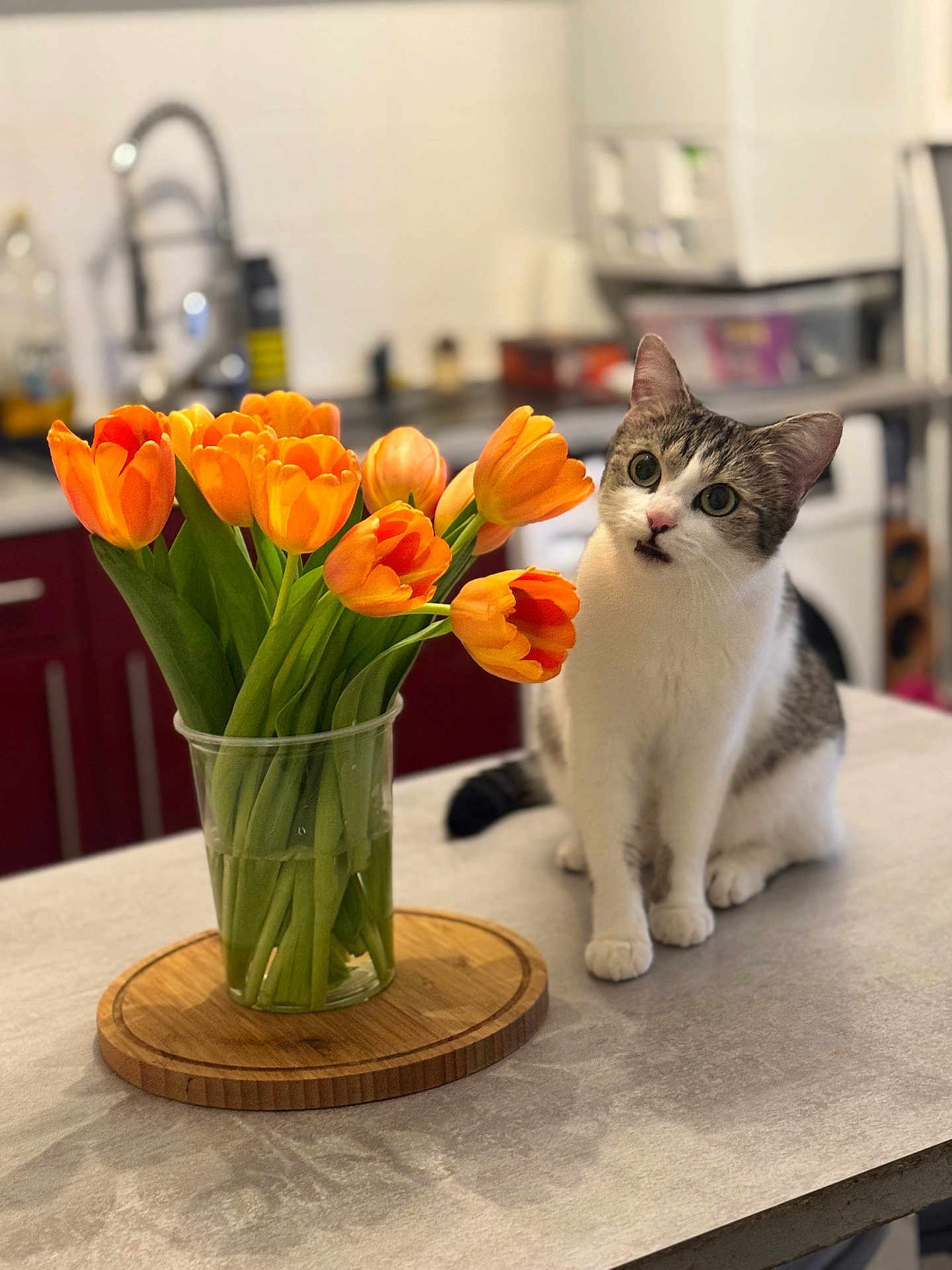 Bella
