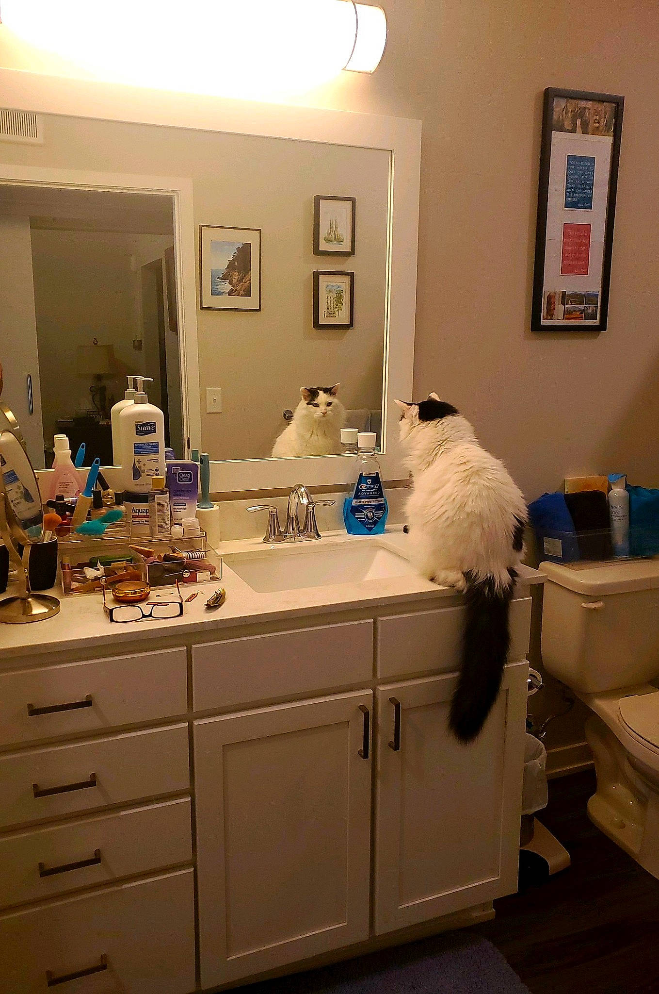 Gertie joined the competition — help win amazing prizes! bathroom, bathroom_cabinet, bathroom_sink, blue, cabinetry, countertop, drawer, floor, house, interior_design, lighting, mirror, picture_frame, plumbing_fixture, property, purple, sink, tap, wall, wood