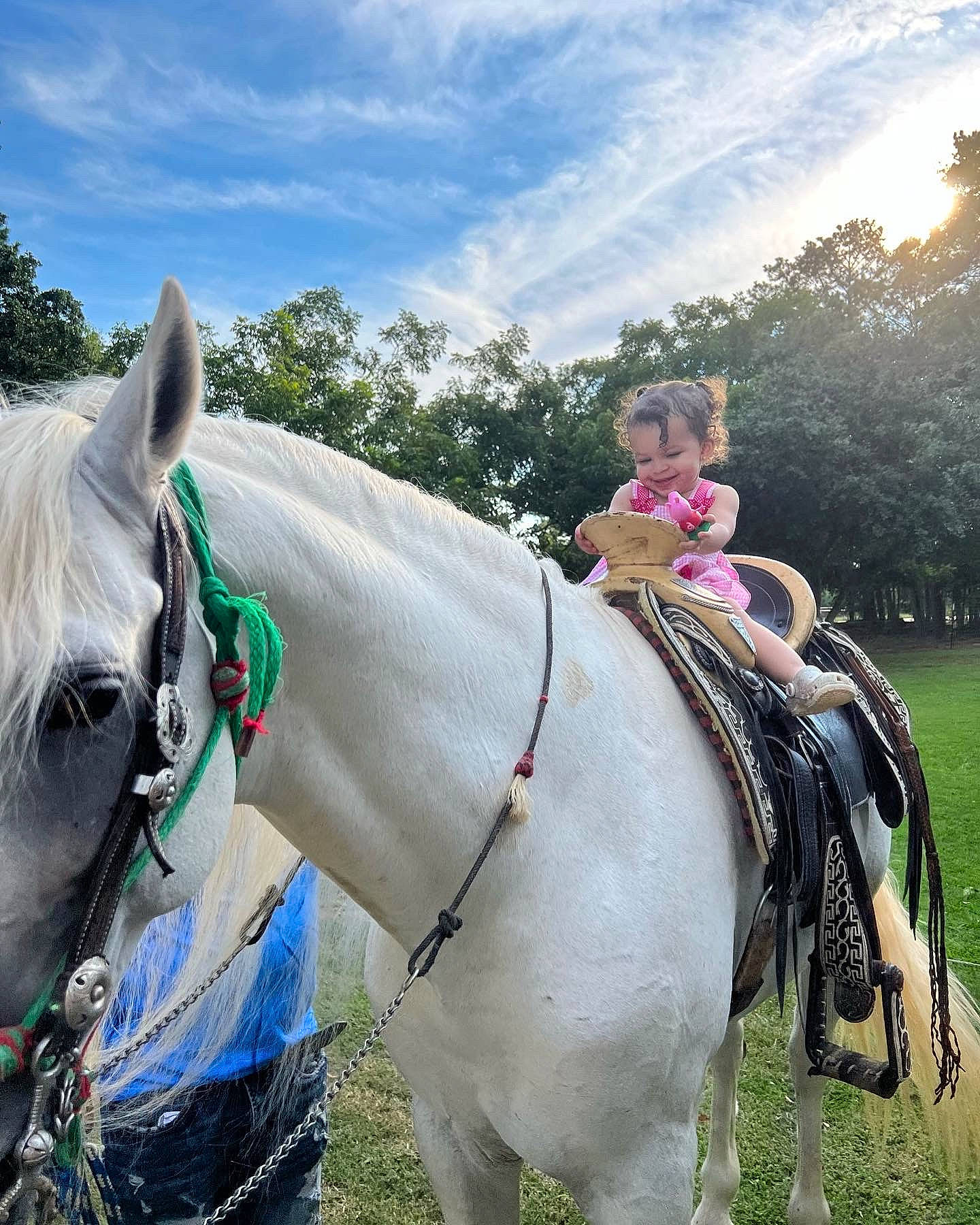 Amiri is registered to the contest to win money with this photo: bit, bridle, cloud, grass, grassland, hair, halter, horse, horse_supplies, horse_tack, joy, mane, mode_of_transport, outdoor_recreation, person, plant, recreation, rein, rural_area, sky