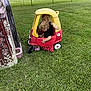 Alice is registered to the contest to win money with this photo: black_clothing, child, children, curly_hair, cute, daytime, fence, fun, grass, green_grass, outdoor, play, playhouse, polka_dot_skirt, red, small, summer, toy_car, two_children, yellow