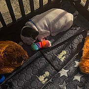 Chubbs is registered to the contest to win money with this photo: puppy, sleeping, playpen, toy, blanket, dog, collar, indoor, fur, resting, cute, pet, comfort, soft, colorful, shadows, pattern, star_pattern, plush_toy, quilted_mat
