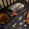 puppy, sleeping, playpen, toy, blanket, dog, collar, indoor, fur, resting, cute, pet, comfort, soft, colorful, shadows, pattern, star_pattern, plush_toy, quilted_mat