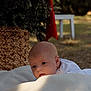 baby, infant, blanket, outdoor, nature, basket, red_ribbon, face, head, soft_light, curious, gaze, holiday, seasonal, warmth, portrait, child, skin, expression, daylight
