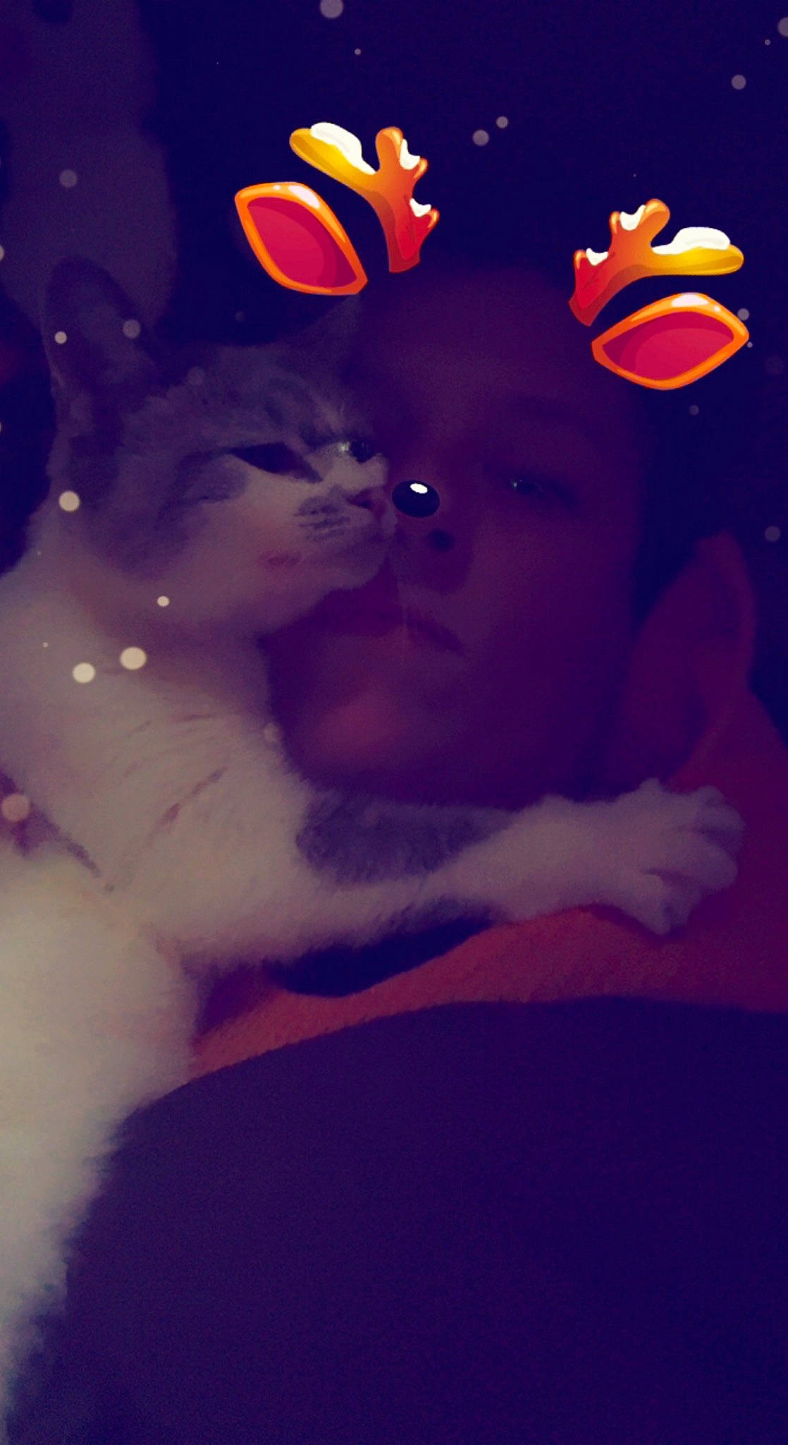 Cloud is registered to the contest to win money with this photo: art, electric_blue, fin, fish, font, fun, fur, gesture, graphic_design, graphics, happy, love, magenta, petal, romance, tail