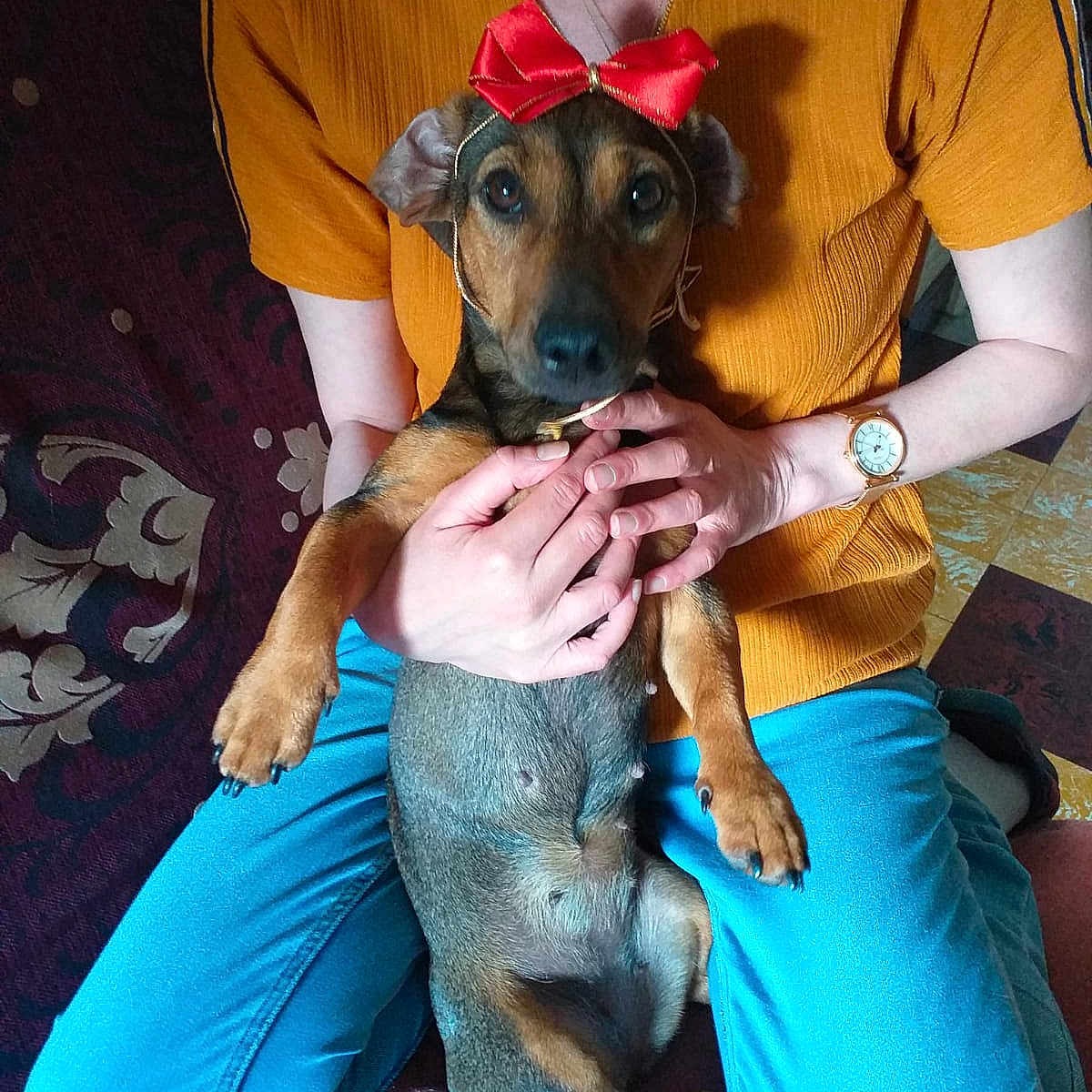Roxie