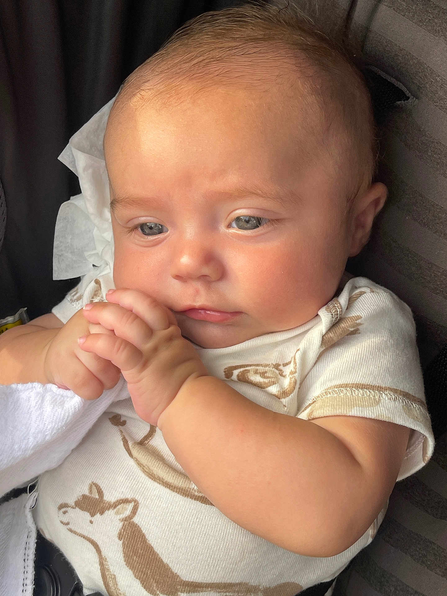 Karson joined the competition — help win amazing prizes! baby, infant, child, close_up, face, hand, clothing, onesie, animal_print, skin, expression, cute, soft_light, natural_light, portrait, seat, car_seat, cloth, cute_baby, young_child