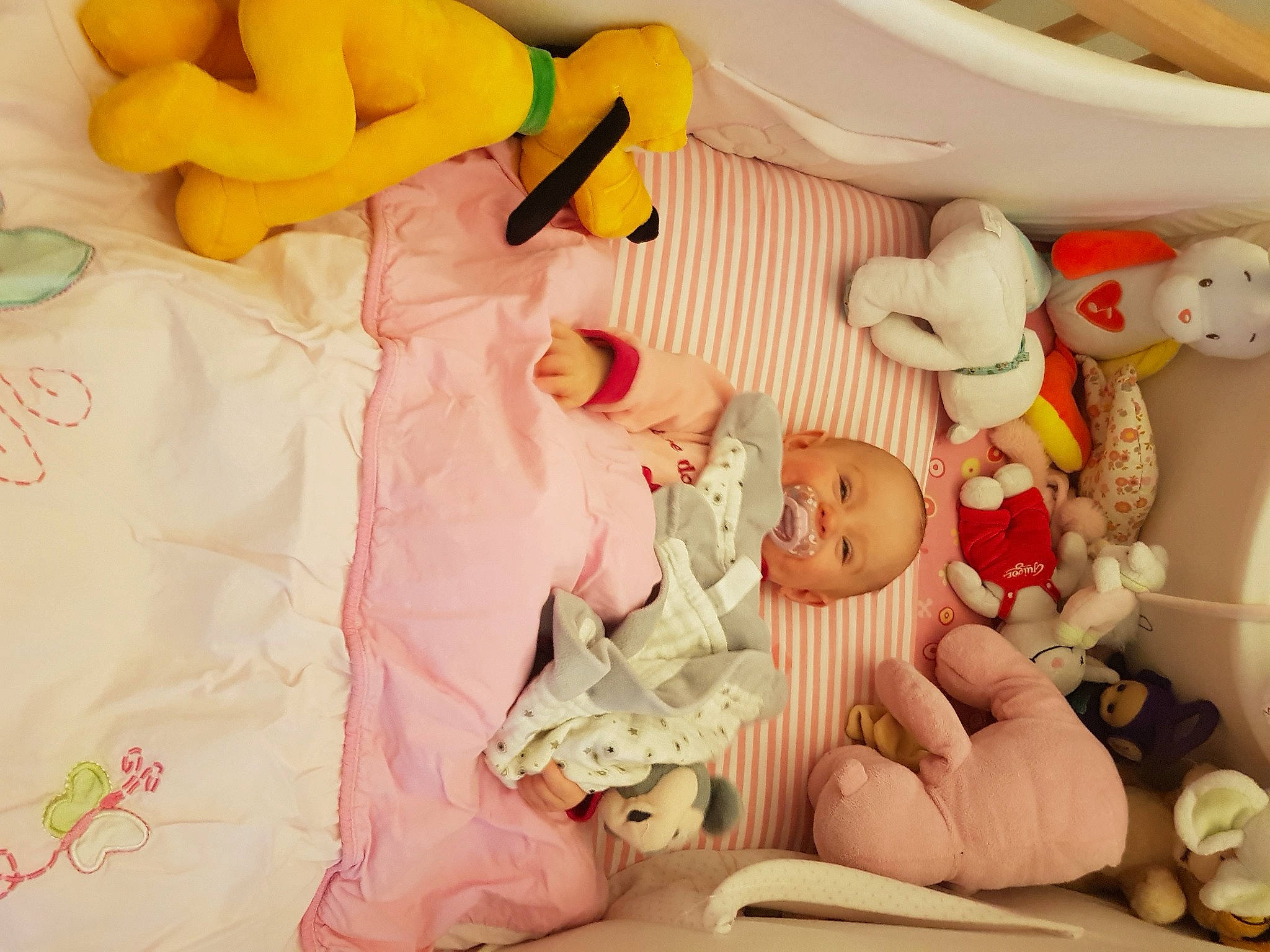 Louana a rejoint le concours — aidez-le/la à gagner de superbes lots ! baby, baby_products, baby_safety, baby_sleeping, baby_toddler_clothing, baby_toys, child, comfort, infant_bed, linens, orange, pattern, peach, person, pink, room, stuffed_toy, textile, toddler, toy