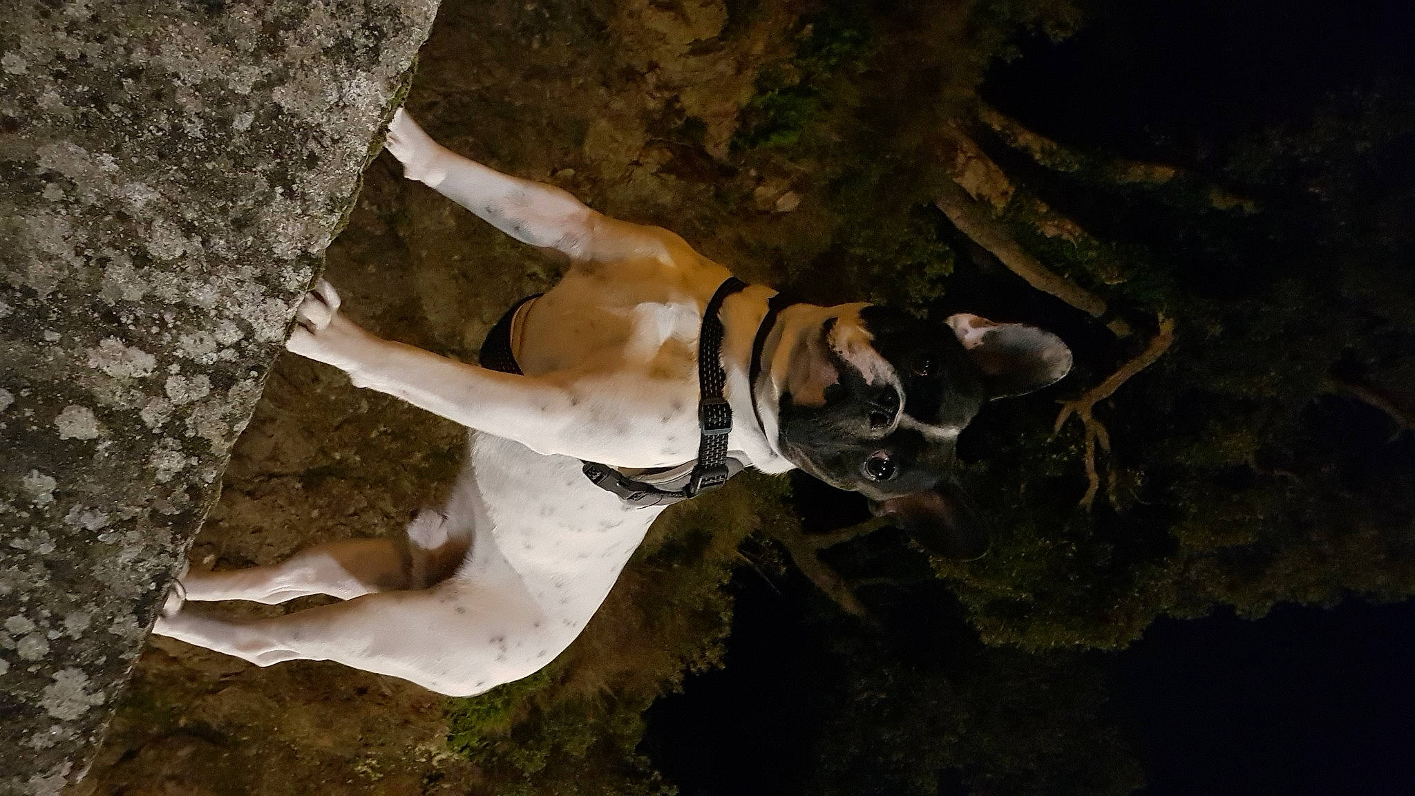 Poumba a rejoint le concours — aidez-le/la à gagner de superbes lots ! adventure, barechested, bedrock, chest, erosion, flash_photography, formation, fun, happy, landscape, leisure, people_in_nature, recreation, rock, soil, tree, trunk, water, wood