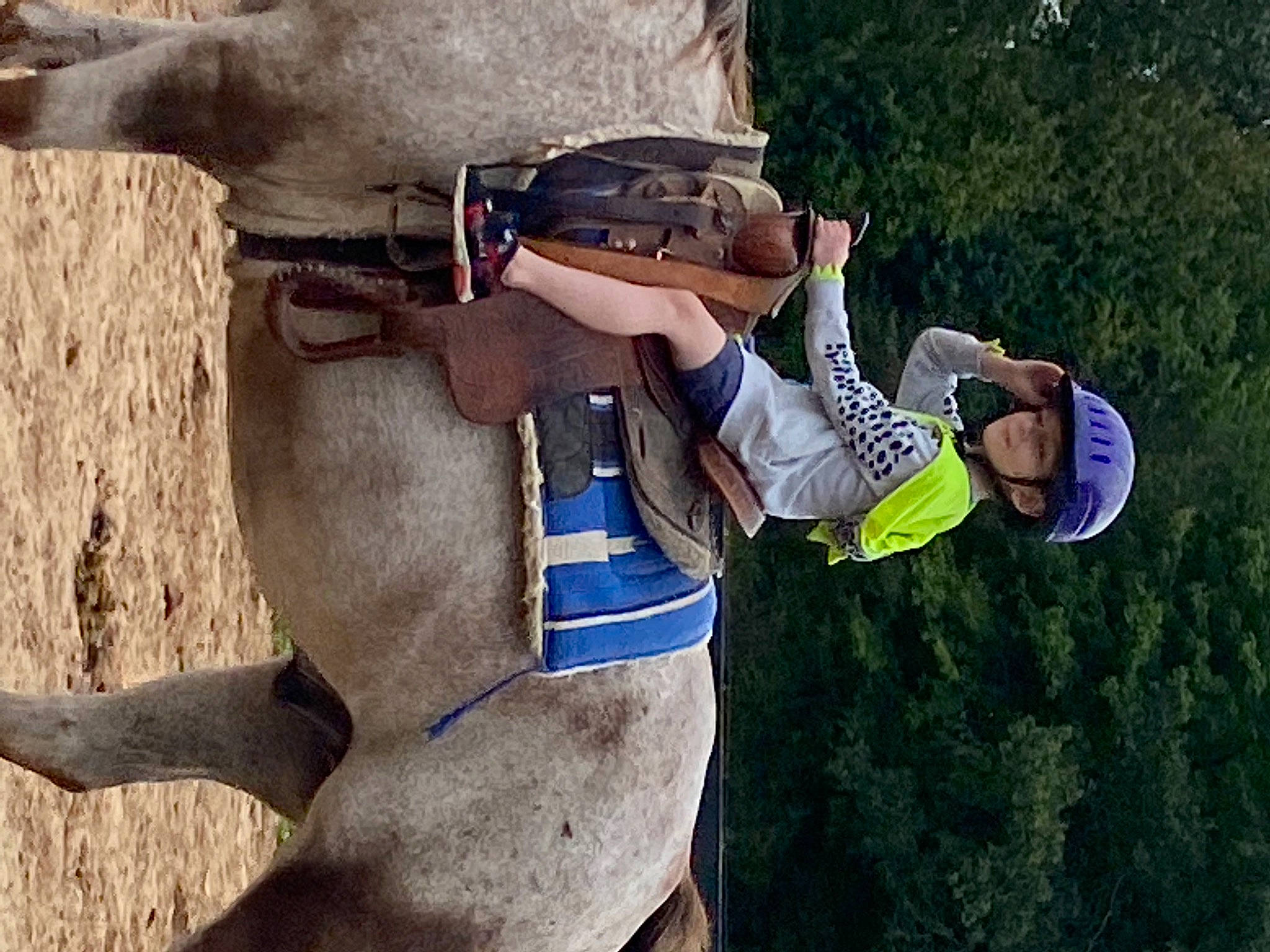 Mark is registered to the contest to win money with this photo: adventure, animal_sports, bit, bridle, equestrian_sport, equestrianism, headwear, horse, horse_supplies, horse_tack, mane, mare, outdoor_recreation, pack_animal, person, plant, recreation, rein, saddle, snout