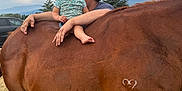 Payton is registered to the contest to win money with this photo: adult, animal, barefoot, brown_horse, casual_clothing, child, clouds, daytime, footwear, grass, hand, hat, horse, mountains, nature, outdoor, person, sky, support, toddler