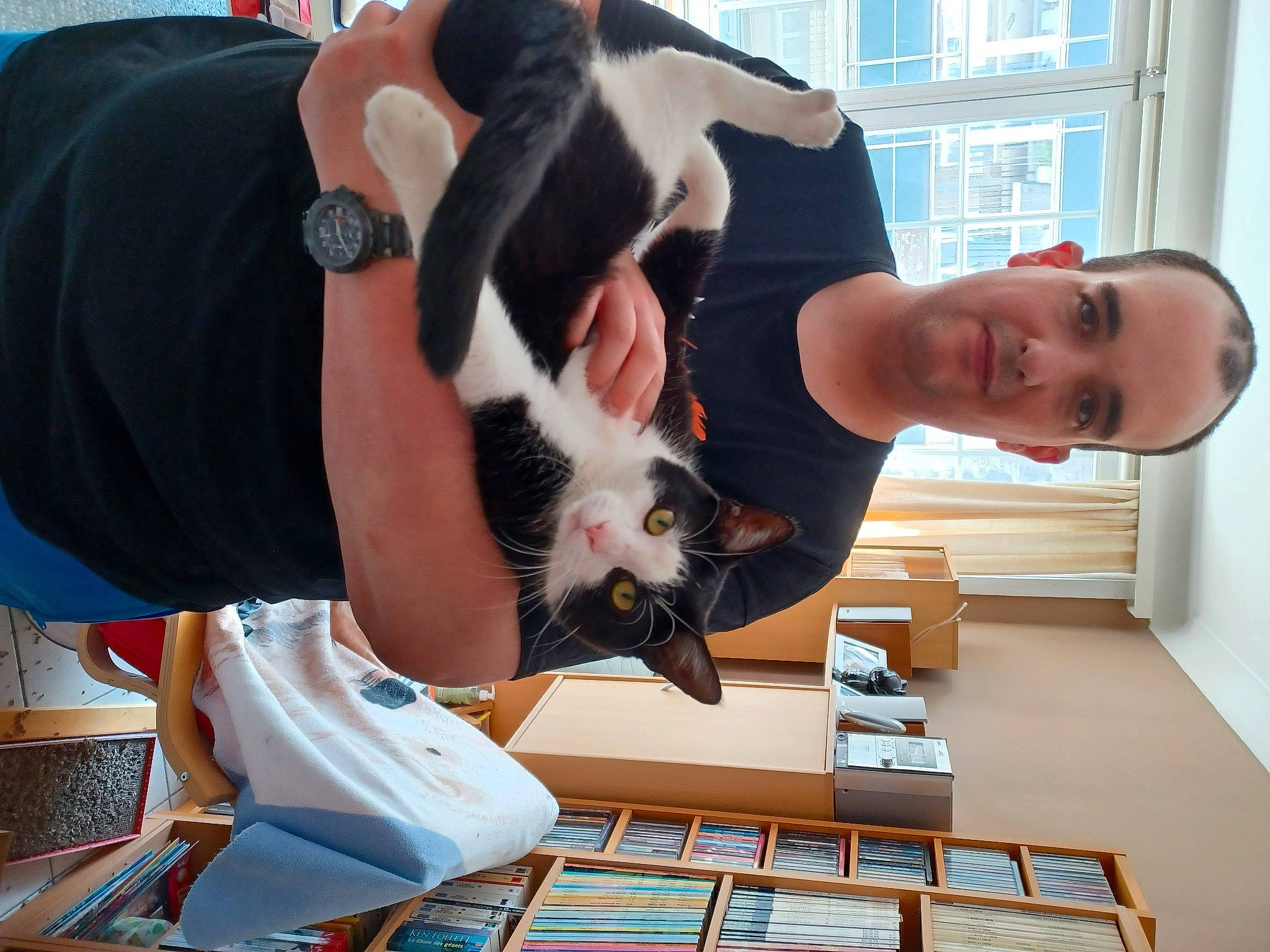 Berlioze participe au concours pour gagner de l'argent avec cette photo : canidae, carnivore, cat, comfort, companion_dog, design, elbow, felidae, flooring, fun, fur, hardwood, small_to_medium_sized_cats, smile, sporting_group, tail, vertebrate, watch, window, wood