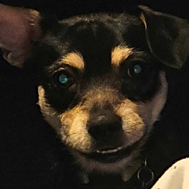 Ace