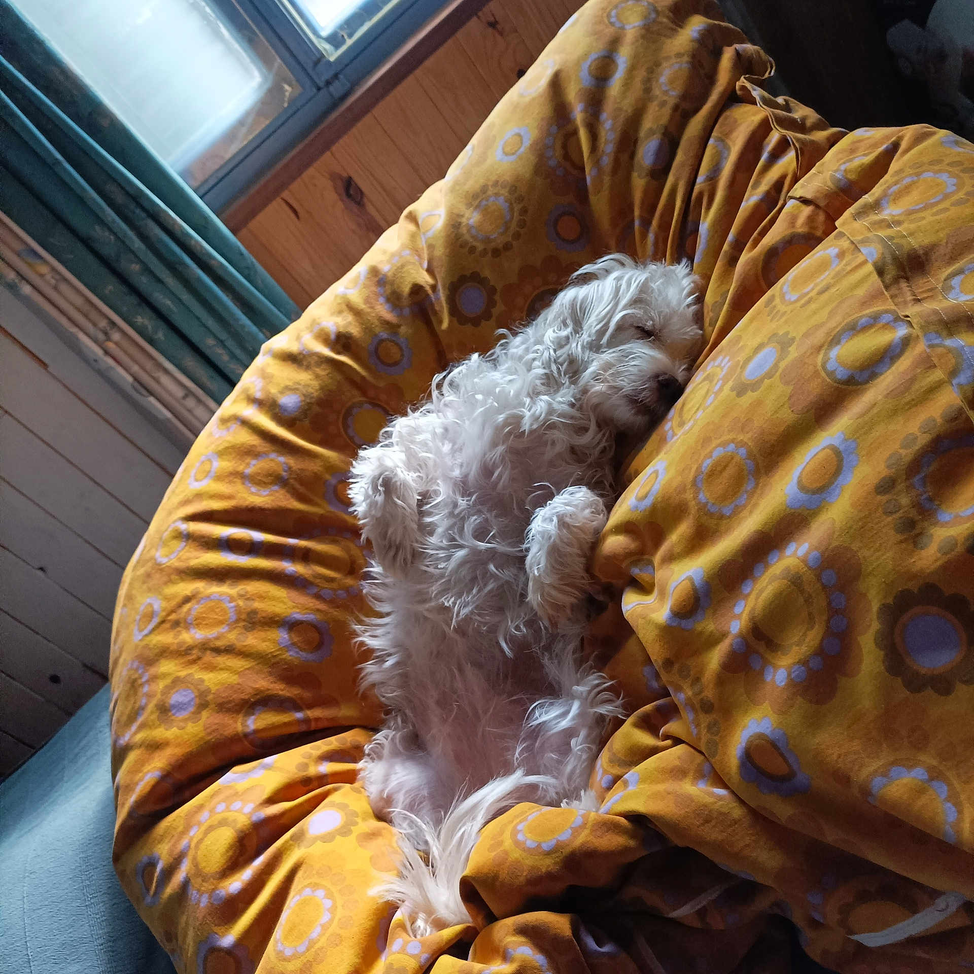 Paillette