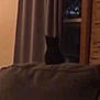 cat, black_cat, couch, window, curtains, indoor, night, silhouette, furniture, home, pet, dark, shadow, animal, resting, quiet, lonely, room, soft, blurred