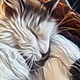 adorable, animal, cat, closeup, cozy, cute, feline, fluffy, fur, indoor, mammal, peaceful, pet, portrait, relaxation, resting, sleeping, soft_focus, warm_lighting, whiskers