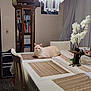 Killua is registered to the contest to win money with this photo: books, cabinet, cat, certificates, chair, chandelier, cream_colored_cat, curtains, decor, dining_table, flowers, furniture, home, indoor, lighting, pet, placemats, relaxed, tablecloth, vase