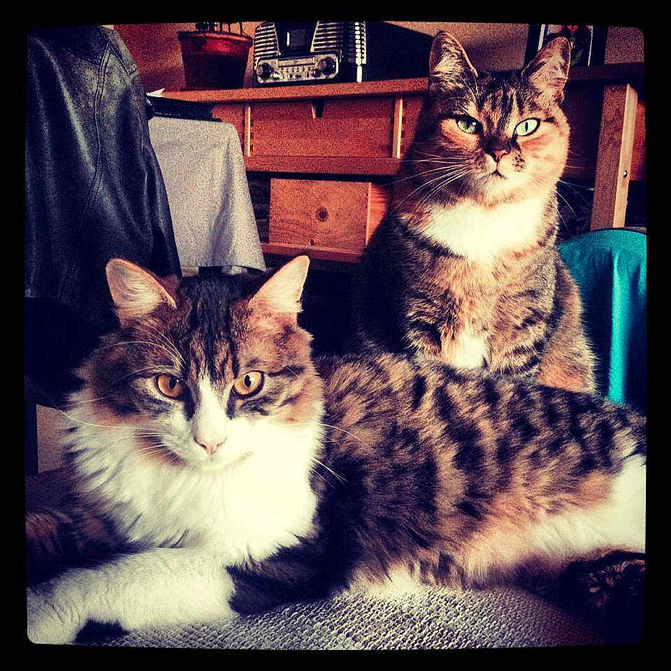 Pétoche participe au concours pour gagner de l'argent avec cette photo :