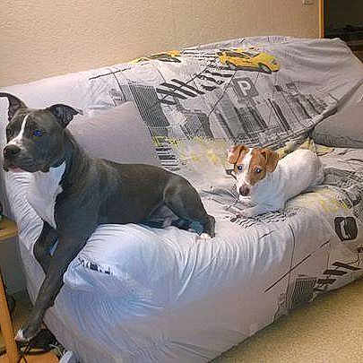 Joko a rejoint le concours — aidez-le/la à gagner de superbes lots !