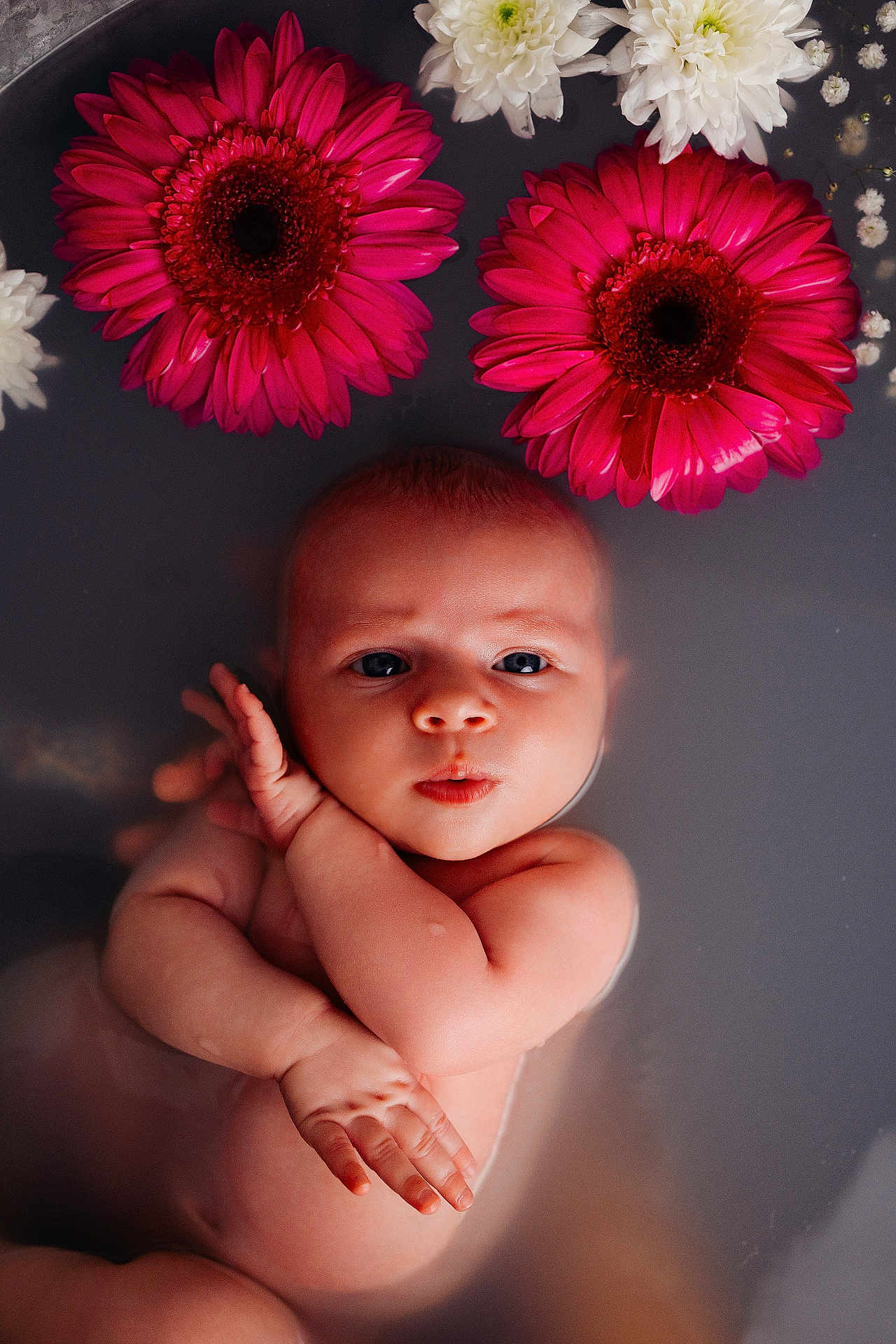 Romy a rejoint le concours — aidez-le/la à gagner de superbes lots ! baby, infant, flower, pink_flower, white_flower, bath, water, skin, face, arms, floating, portrait, cute, peaceful, closeup, relaxation, fresh, natural, soft_light, beautiful