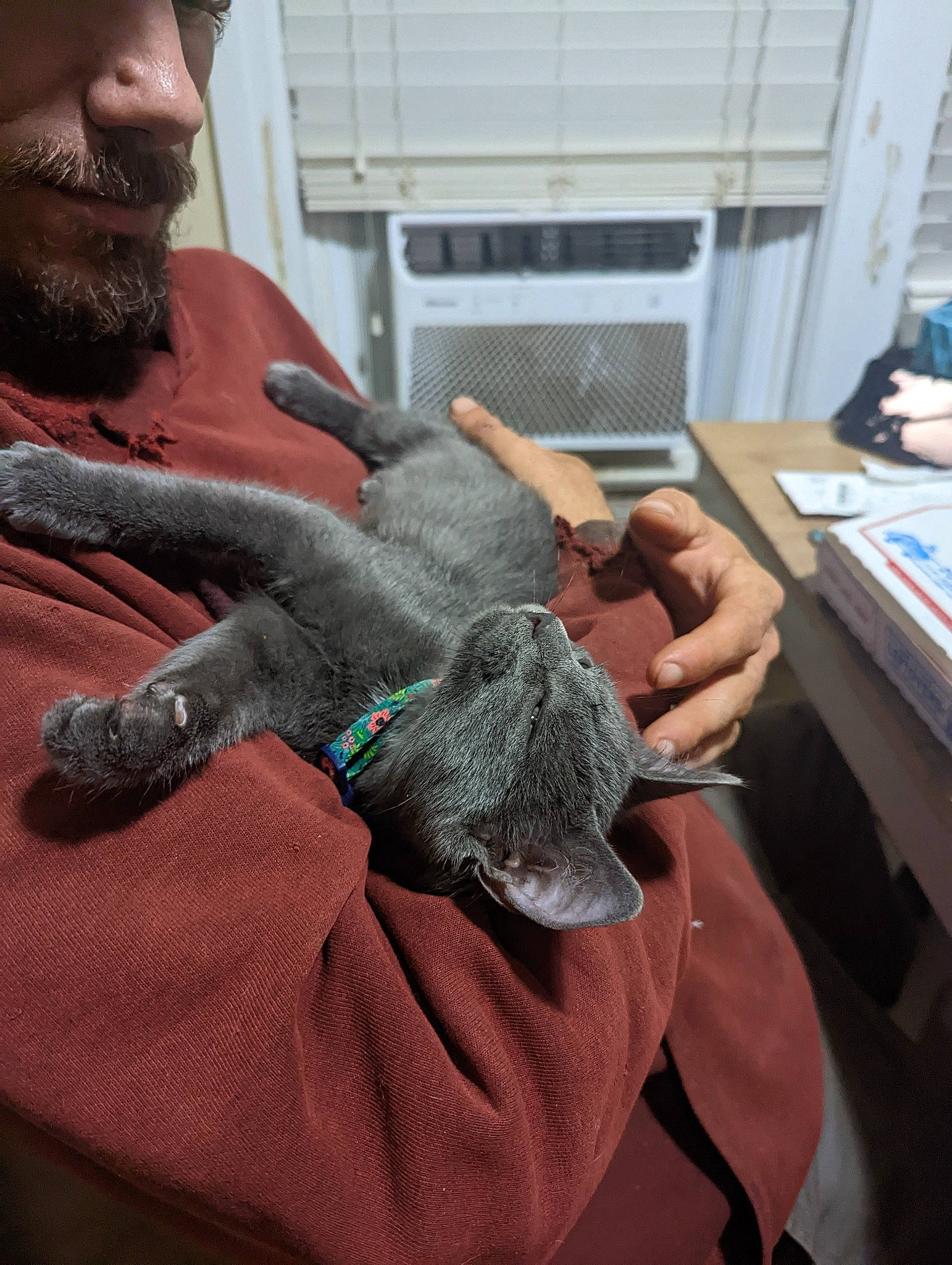 Shadow joined the competition — help win amazing prizes! beard, comfort, elbow, engineering, facial_hair, fashion_accessory, finger, flesh, fur, gesture, glove, hand, nail, safety_glove, skin, table, thumb, wool, wrinkle, wrist