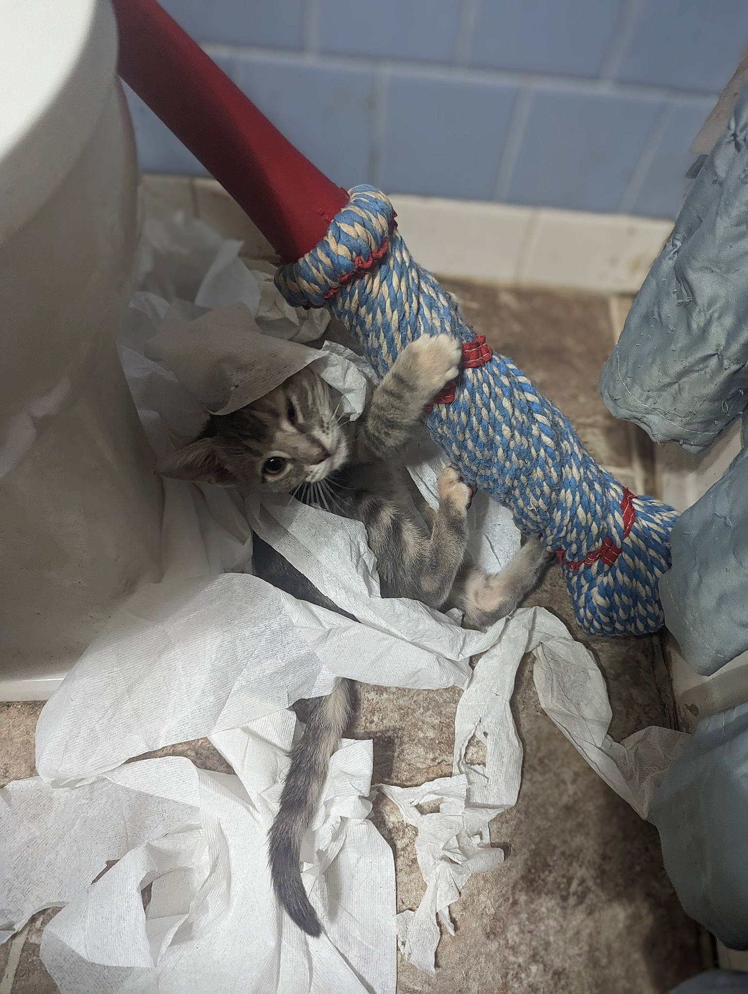 Dutchess is registered to the contest to win money with this photo: art, carmine, carving, concrete, creative_arts, elbow, human_leg, linens, monument, pattern, plaster, plastic, sculpture, statue, stone_carving, visual_arts, wood