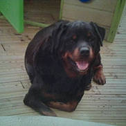 Uky participe au concours pour gagner de l'argent avec cette photo :