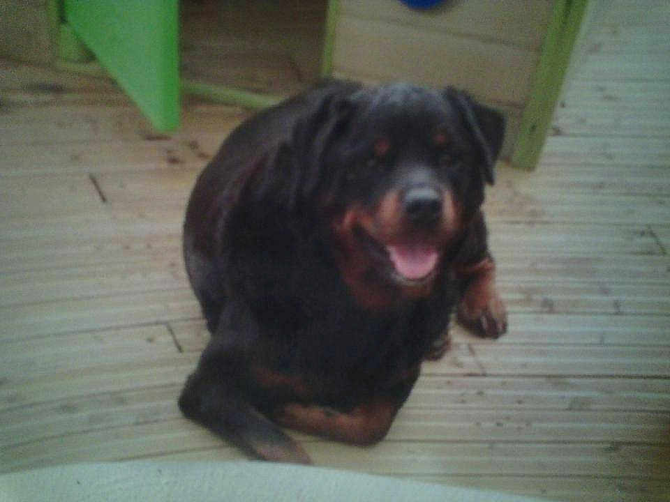 Uky participe au concours pour gagner de l'argent avec cette photo :