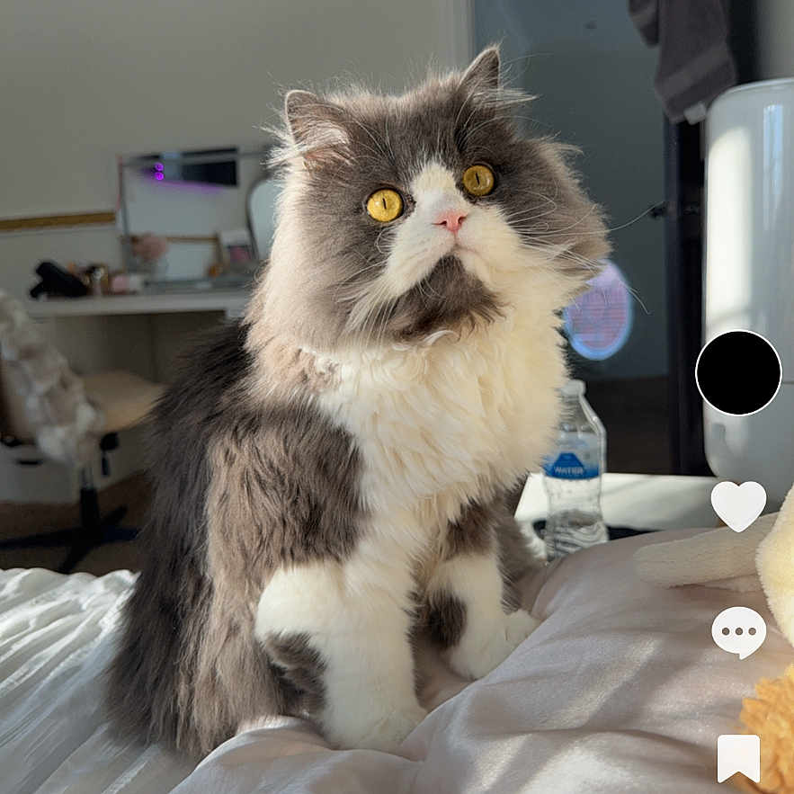 Milo