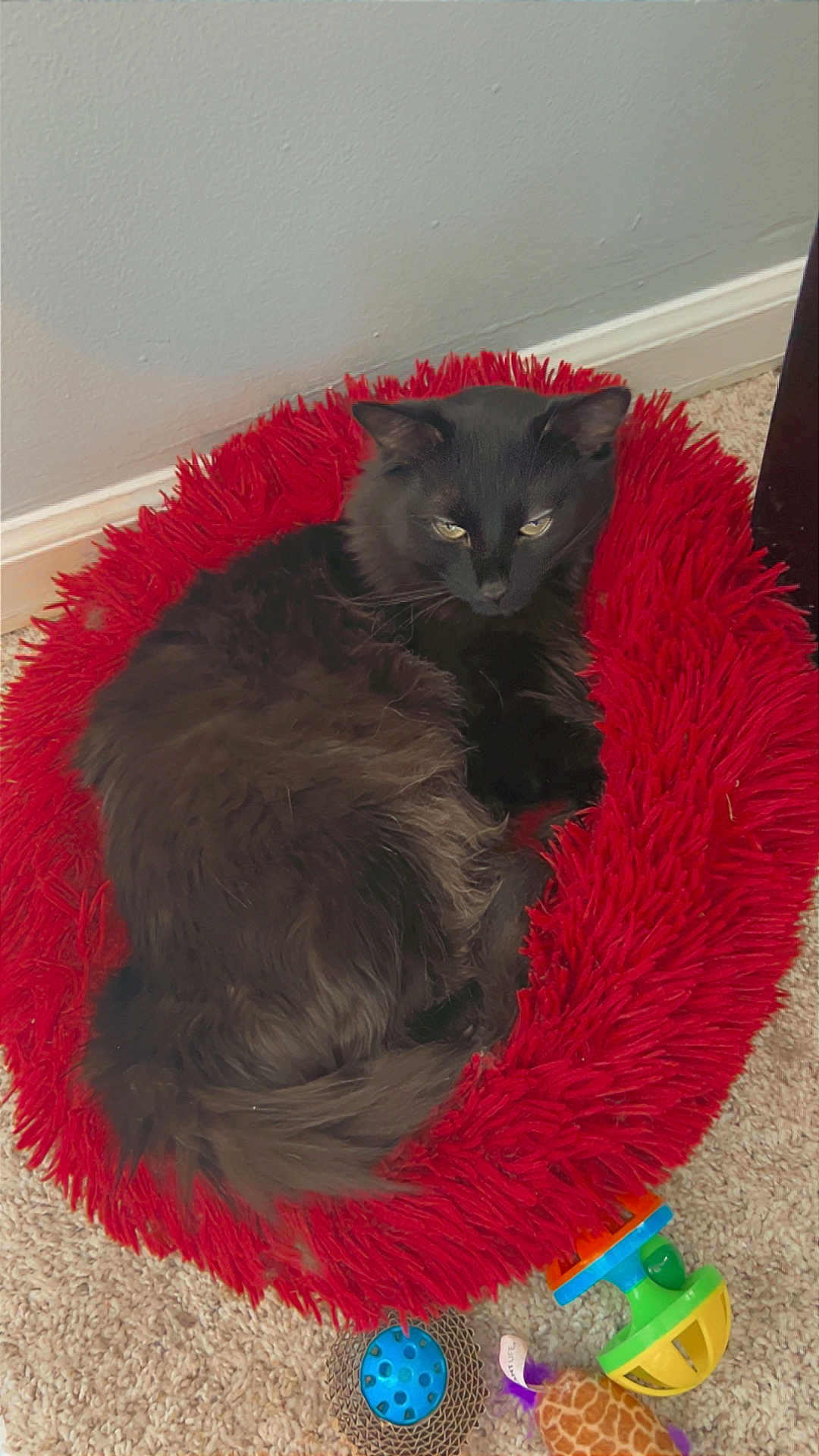 Salem