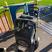 Beautiful is registered to the contest to win money with this photo: cat, pet_stroller, playground, mesh, water_bottle, grass, sunlight, yellow_pole, blue_pole, red_rail, sidewalk, outdoor, shoes, shadow, play_equipment, wheel, fabric, pet, daytime, park